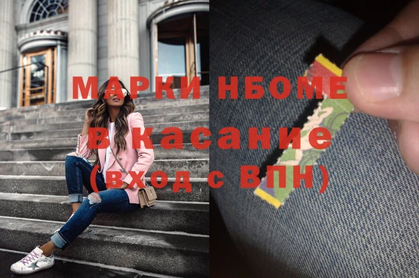 амф Верхний Тагил