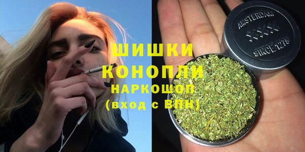 амф Верхний Тагил