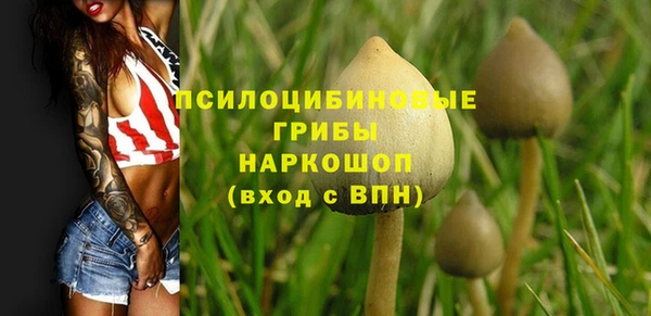 ECSTASY Верея