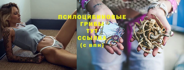 амф Верхний Тагил