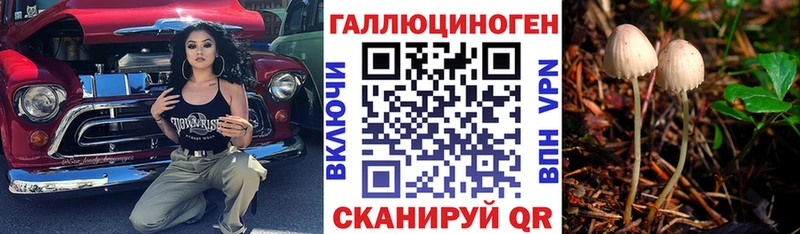 магазин продажи наркотиков  Нарьян-Мар  Псилоцибиновые грибы Psilocybine cubensis 
